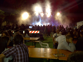 Il RomanaBeerFestival del 2011.