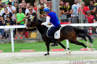 Il cavaliere Fabio Picchioni del Sestiere Porta Romana nel rettilinio del prato durante la 1^ tornata.